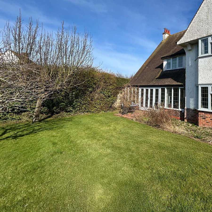 photograph of suburban lawn tidied up with generative fill in Photoshop