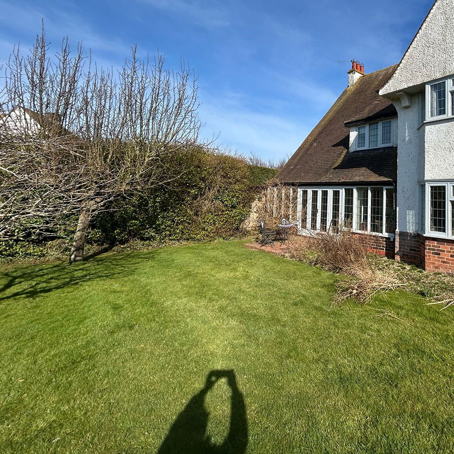 photograph of untidy suburban lawn with shadow of photographer